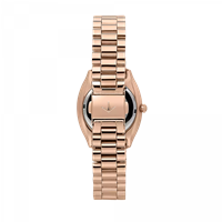 Montre Lucien Rochat Femme in Acier R0453120503 - R0453120503
